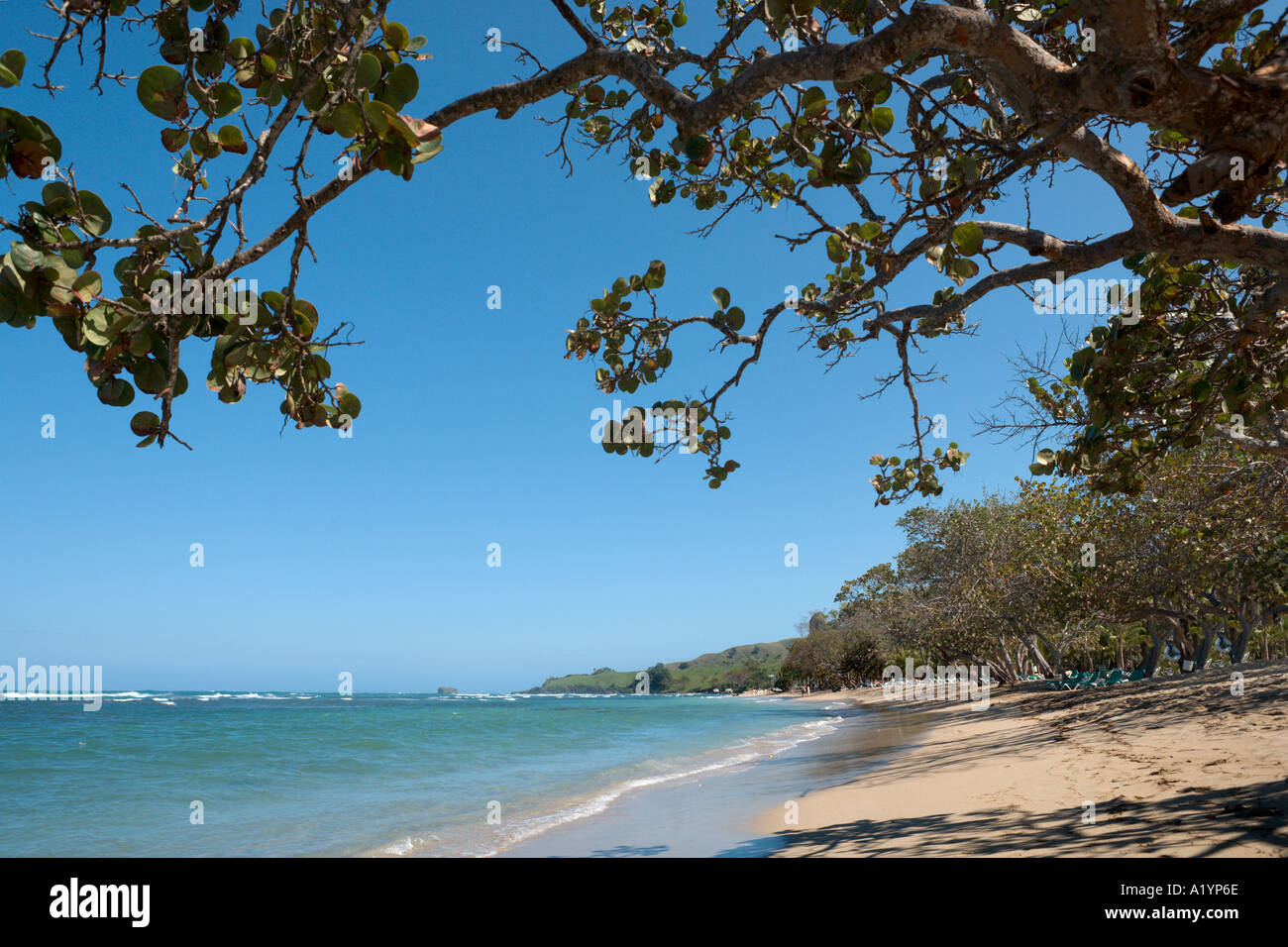 En dehors de la plage hôtels Riu, Bahia Maimon, Puerto Plata, Côte Nord, République Dominicaine Banque D'Images
