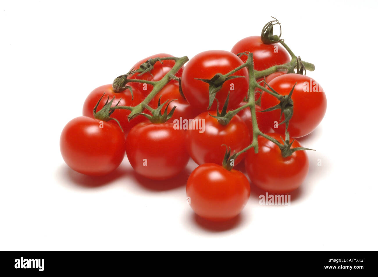 Tomates cerise sur la vigne Banque D'Images