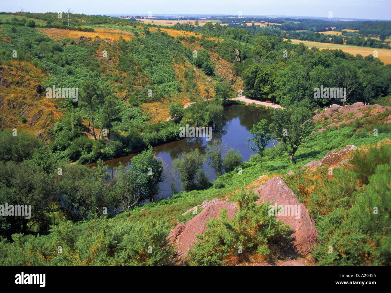 Vue sur Le Val sans retour en Brocéliande la forêt de Paimpont Bretagne France N Boyd Banque D'Images