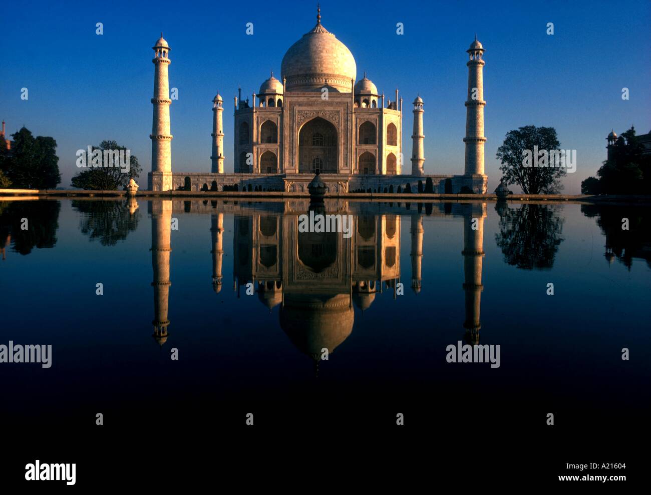 Le Taj Mahal Agra Uttar Pradesh Inde M Robertson Banque D'Images