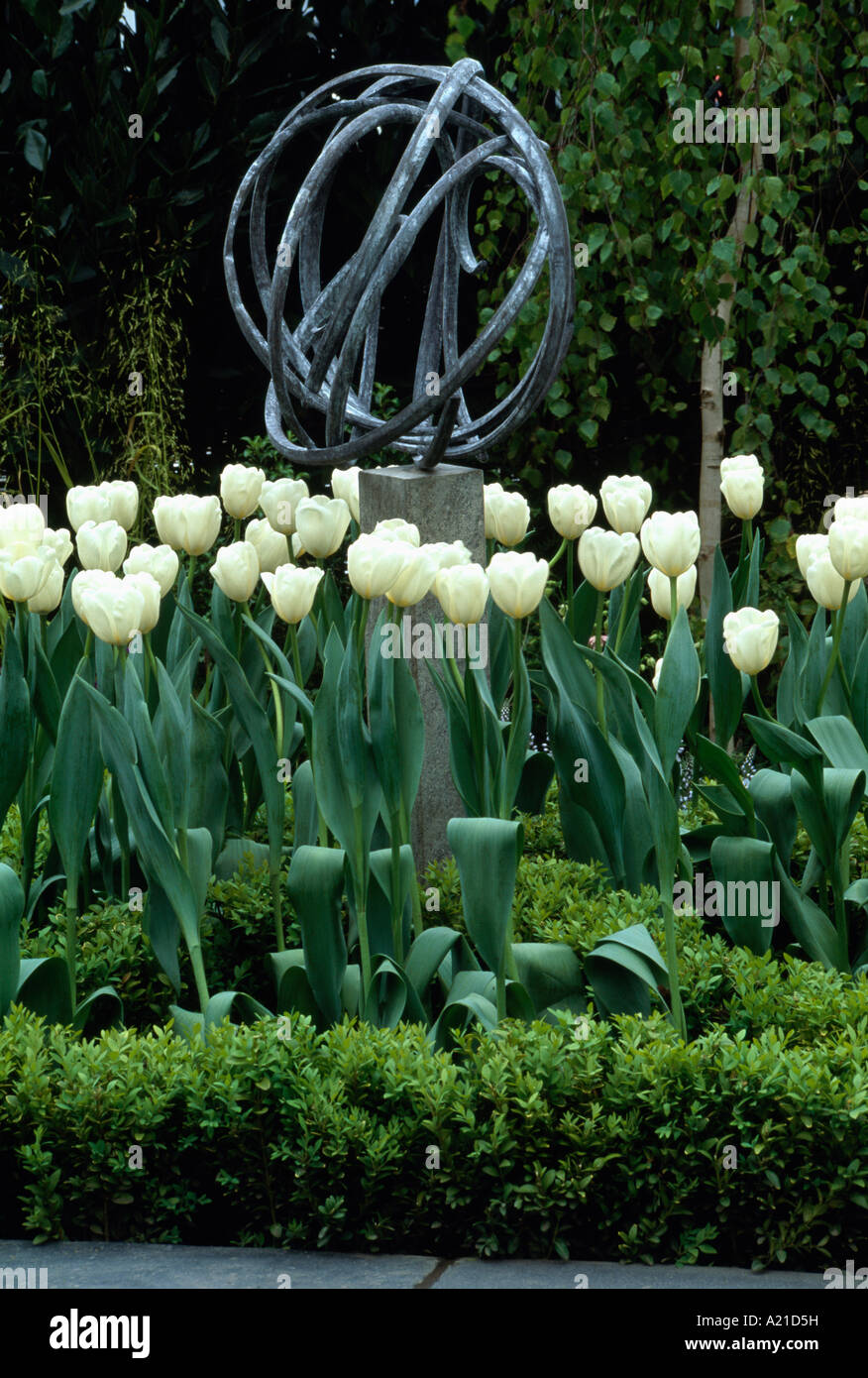 Tulipes blanches en face de la sculpture de cardan avec fort hedge Banque D'Images