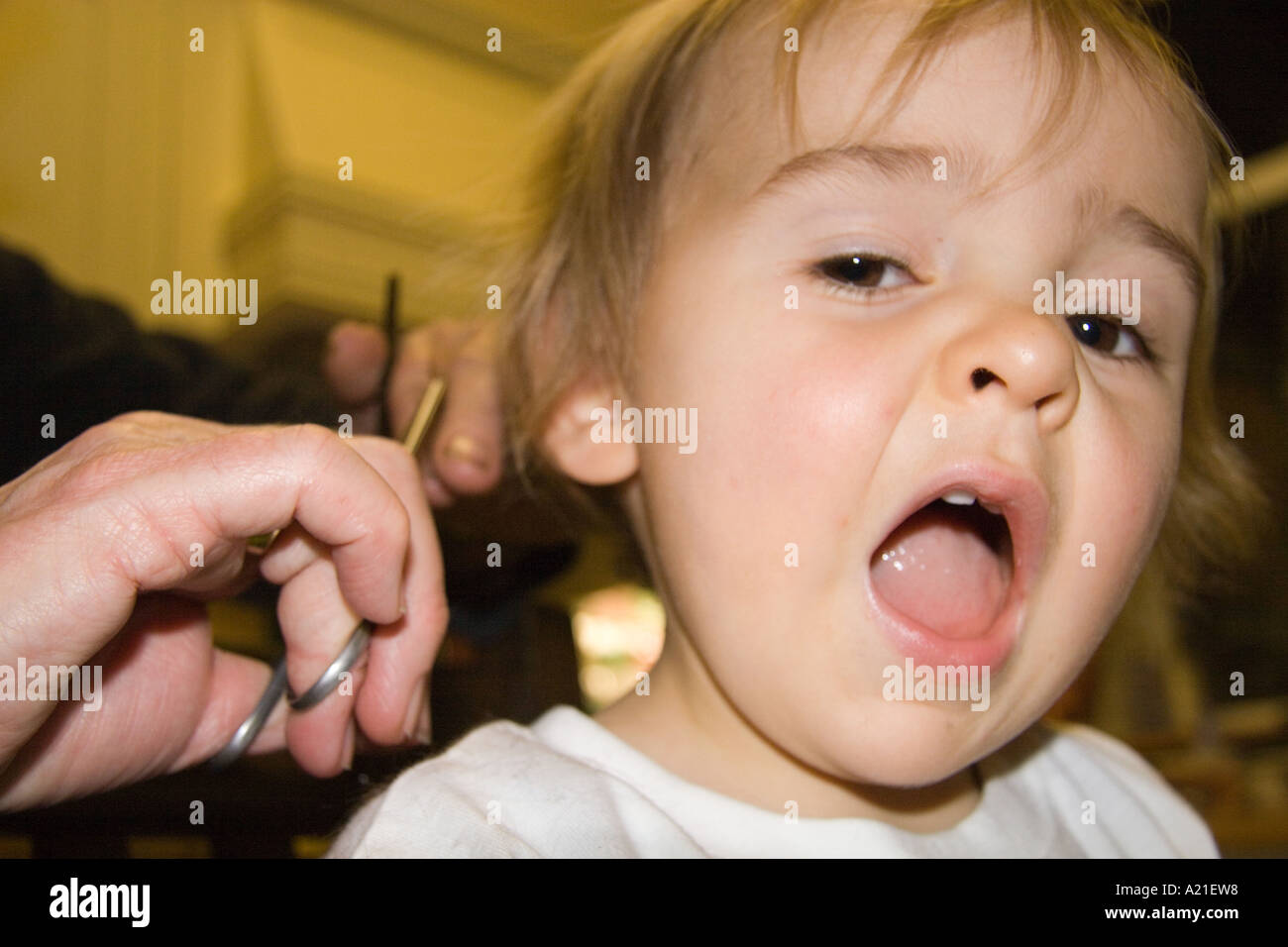 Un jeune enfant a sa première coupe dans une cuisine Banque D'Images