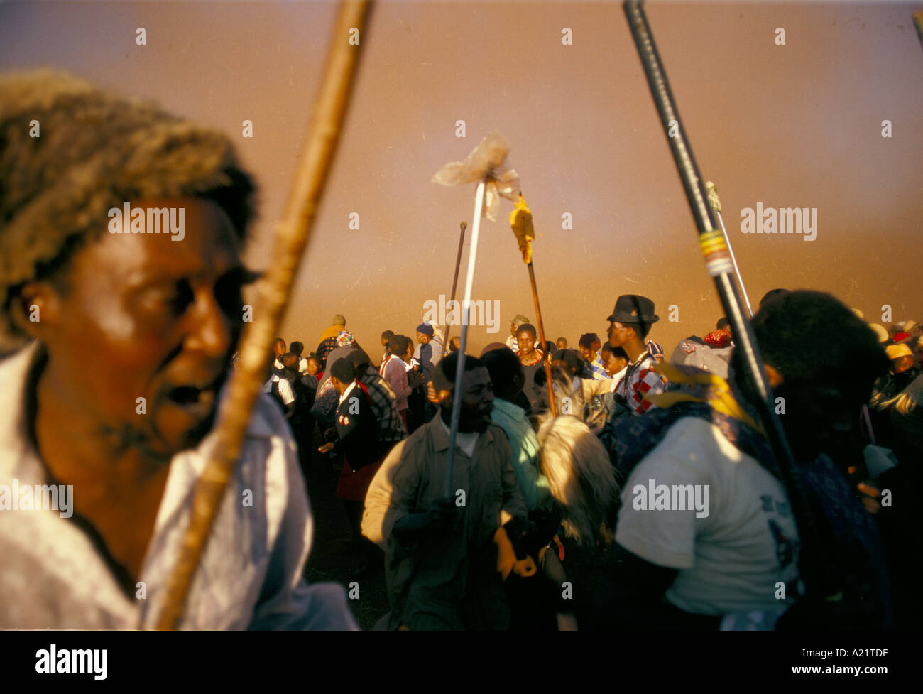 Une danse tribale au Lesotho, Afrique du Sud Banque D'Images