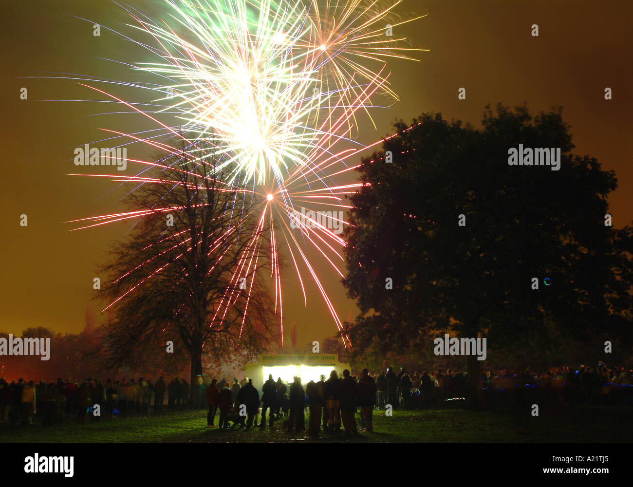 Feux d'artifice illuminent le ciel sur Verdin Park, Northwich, Cheshire, England, UK Banque D'Images