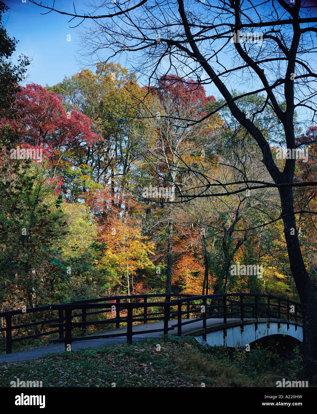 Passerelle sur le ruisseau Rock Rock Creek Park Washington D C Banque D'Images