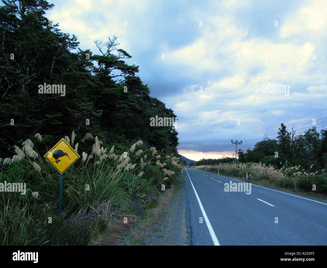 Nz Reroute Sign Panneau de signalisation nz Banque de photographies et d’images à haute ...