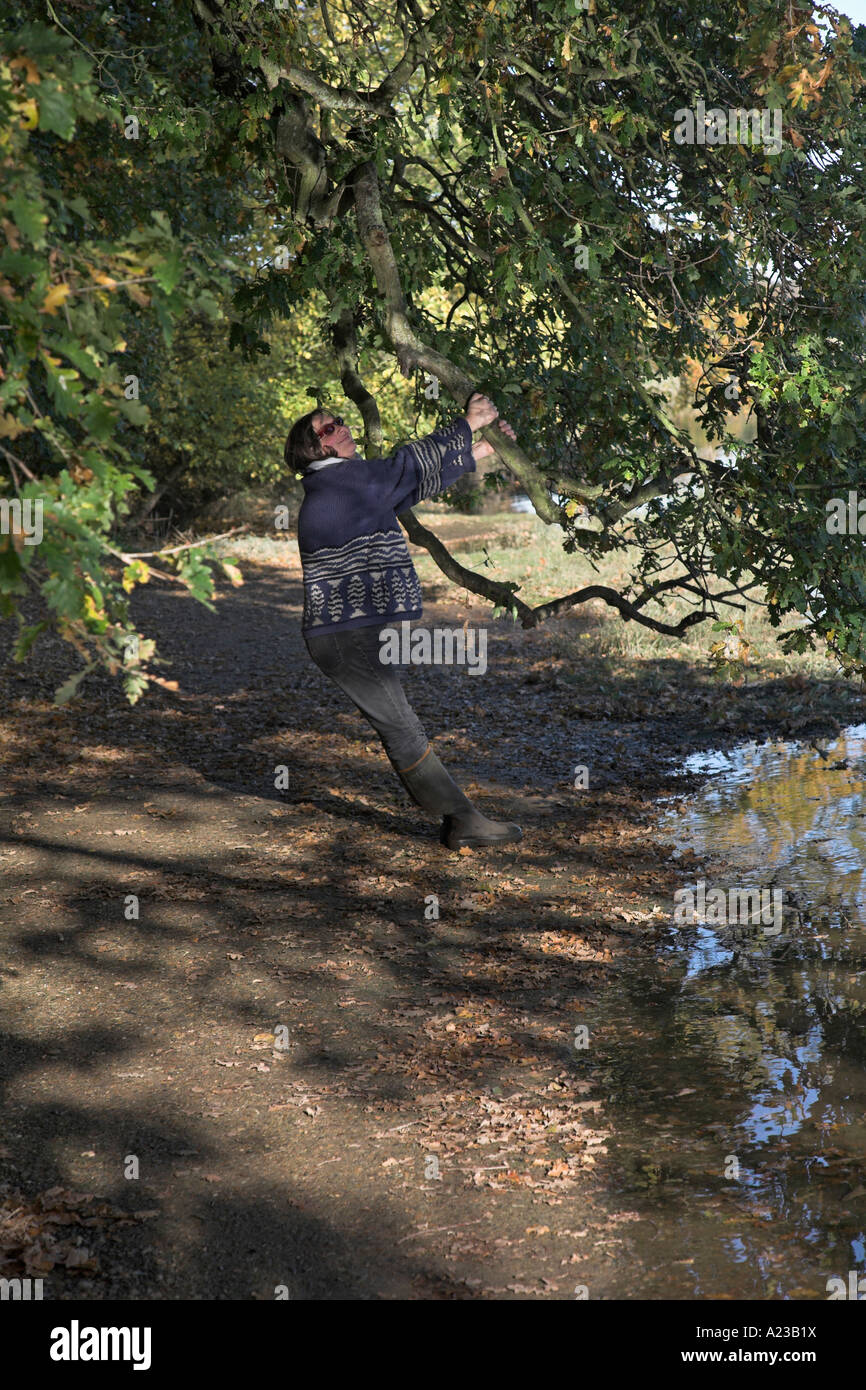 Woman leaning on branche du grand chêne Kyson rivière Point plage, rivière Deben, Woodbridge, Suffolk, Angleterre Banque D'Images