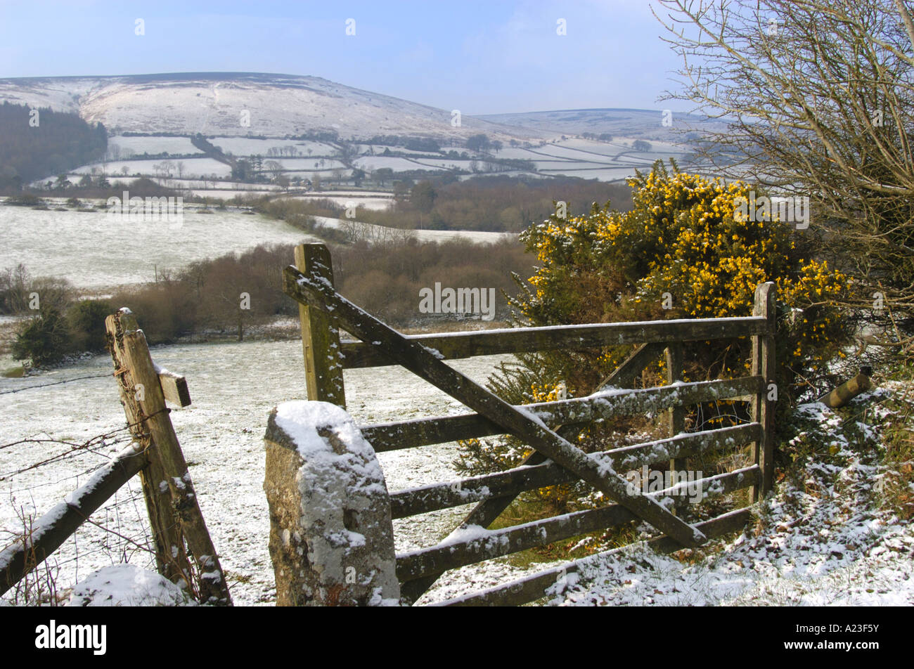 Champs couverts de neige et 5 bar à la porte du Parc National de Dartmoor à la haute lande Devon, Angleterre Banque D'Images