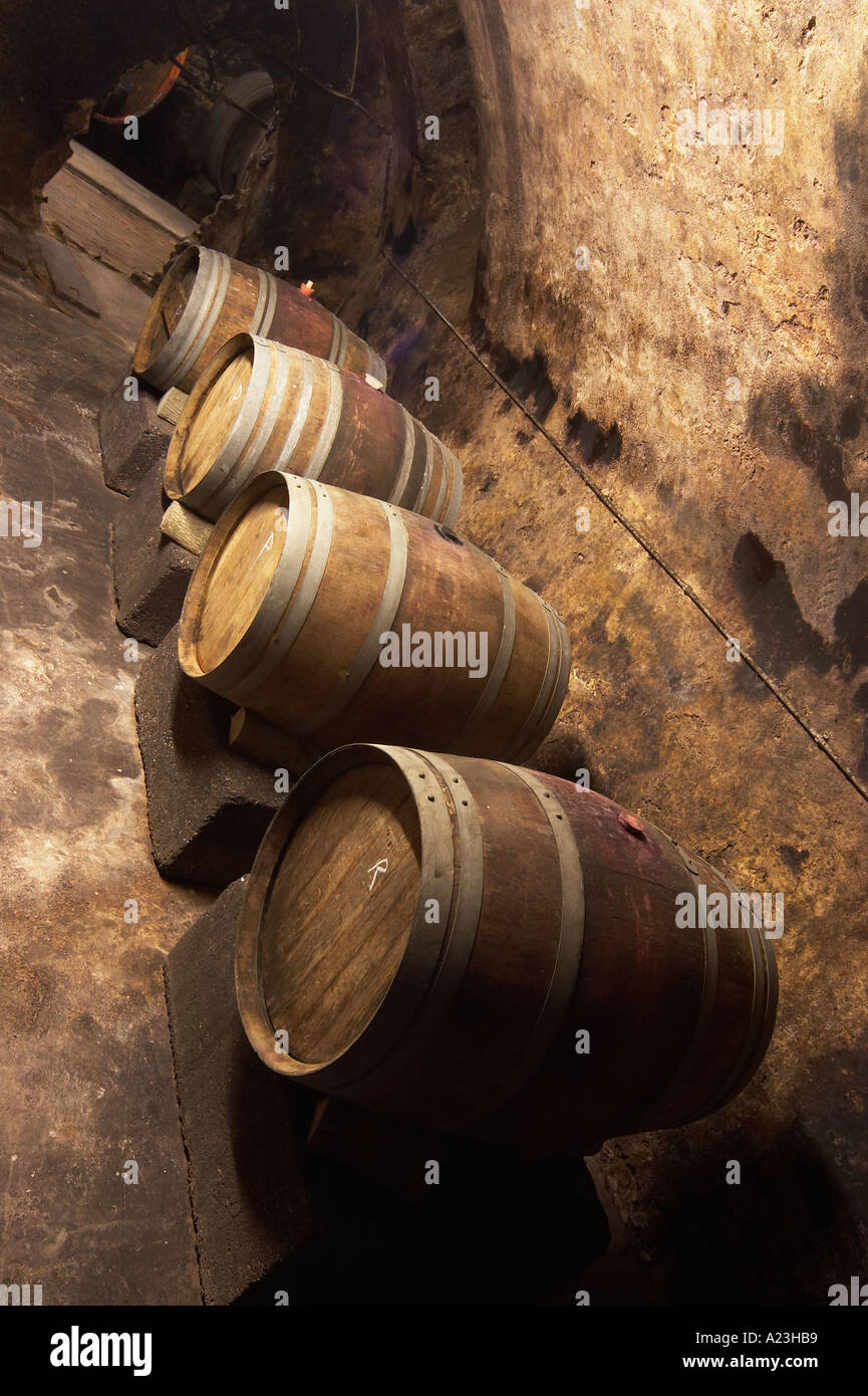 Cuves en bois ou des tonneaux en allemand cave pour la vinification de vin bio Banque D'Images