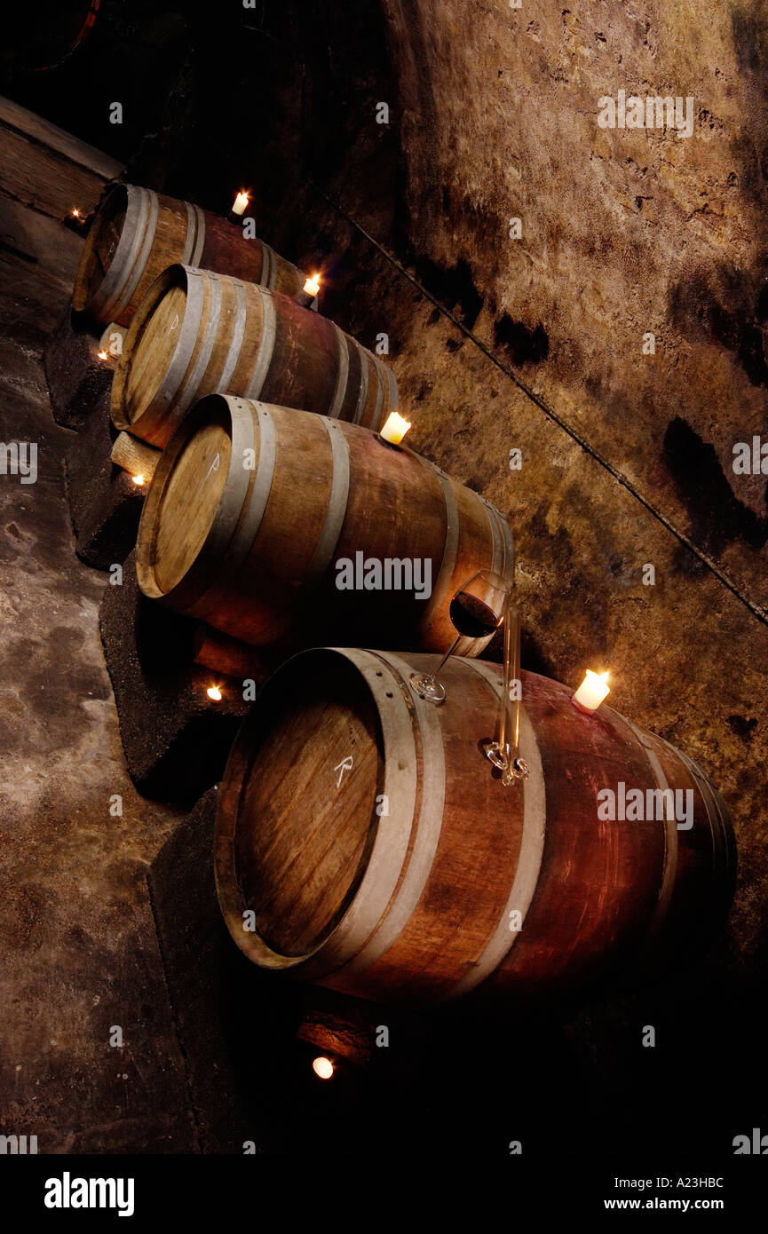 Cuves en bois ou des tonneaux en allemand cave pour la vinification de vin bio Banque D'Images