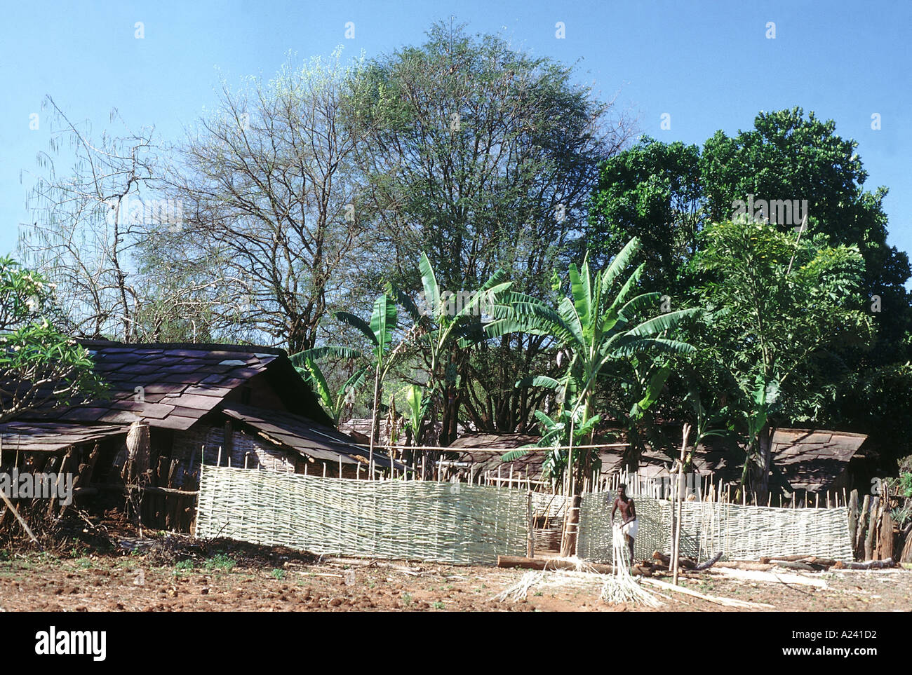 Tribus de l'Inde - Durva Tribu Bastar - Village typique Banque D'Images