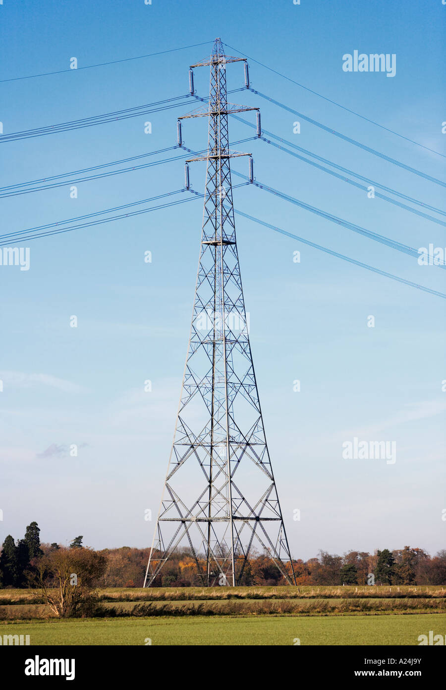 Pylône de l'électricité rurale, UK Banque D'Images