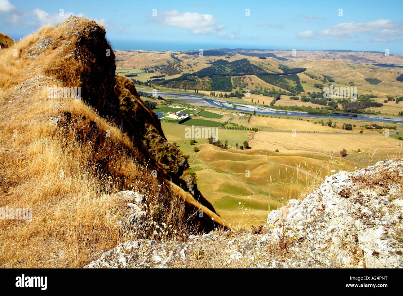 Vue sur support support vally à Hawkes Bay new zealand de ta mata peak Banque D'Images
