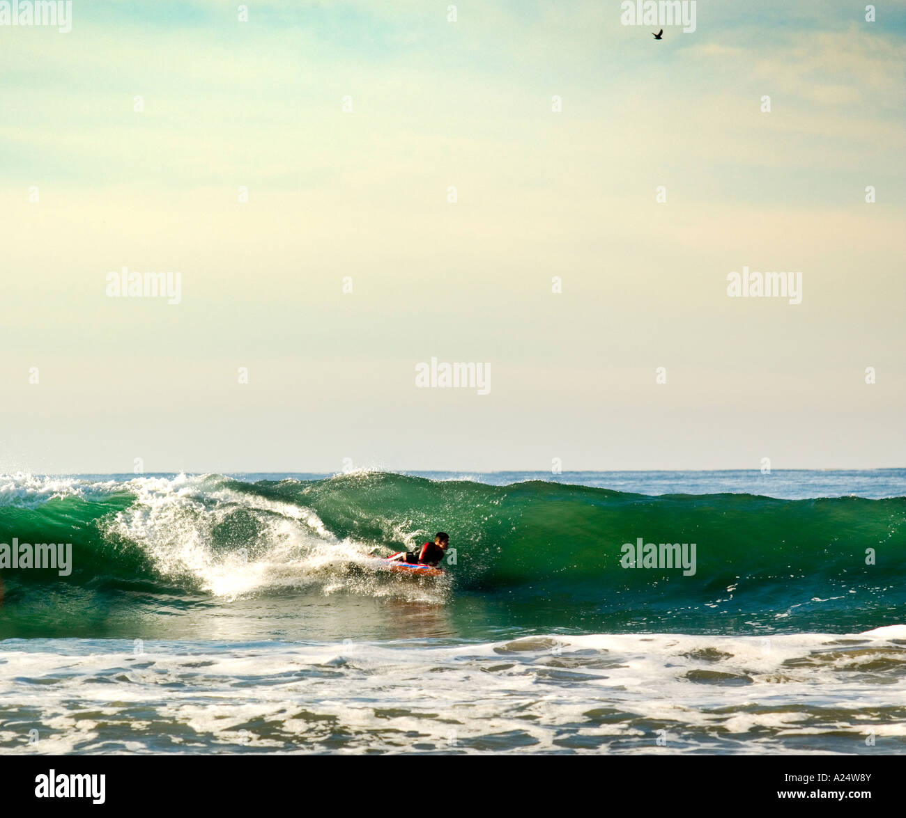 La planche de surf, les vagues de l'océan Pacifique capture modèle ne libération requise : shadows,longue focale, distance caractéristiques moyennes méconnaissable Banque D'Images