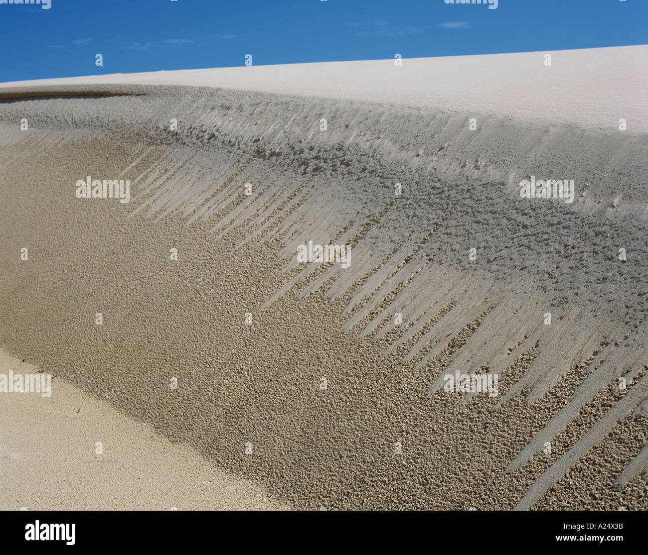 Sables mouvants des dunes de Henty Ouest de la Tasmanie Banque D'Images