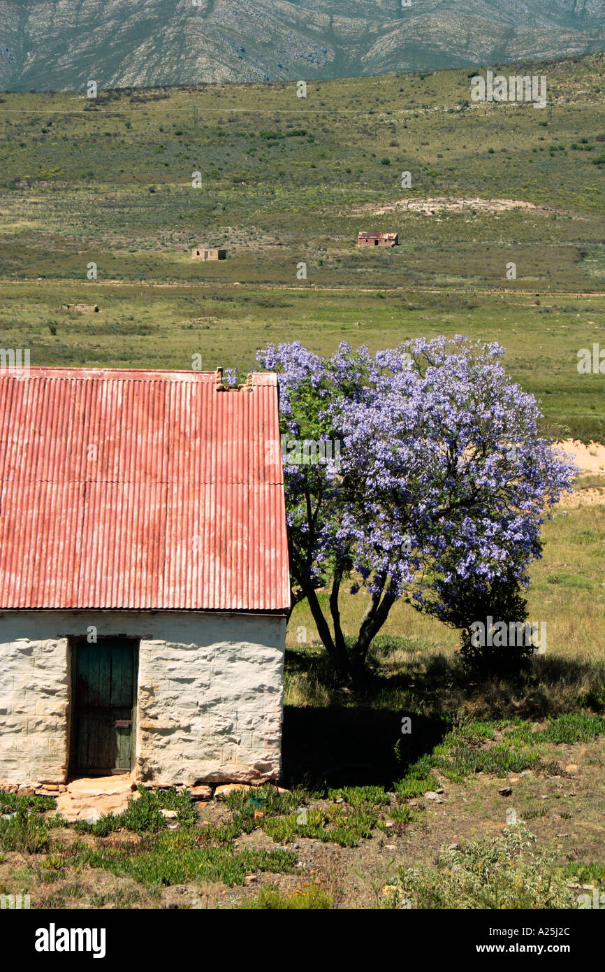 Ancien bâtiment de ferme rouge contre vert des montagnes de l'Afrique du Sud Garden Route Banque D'Images