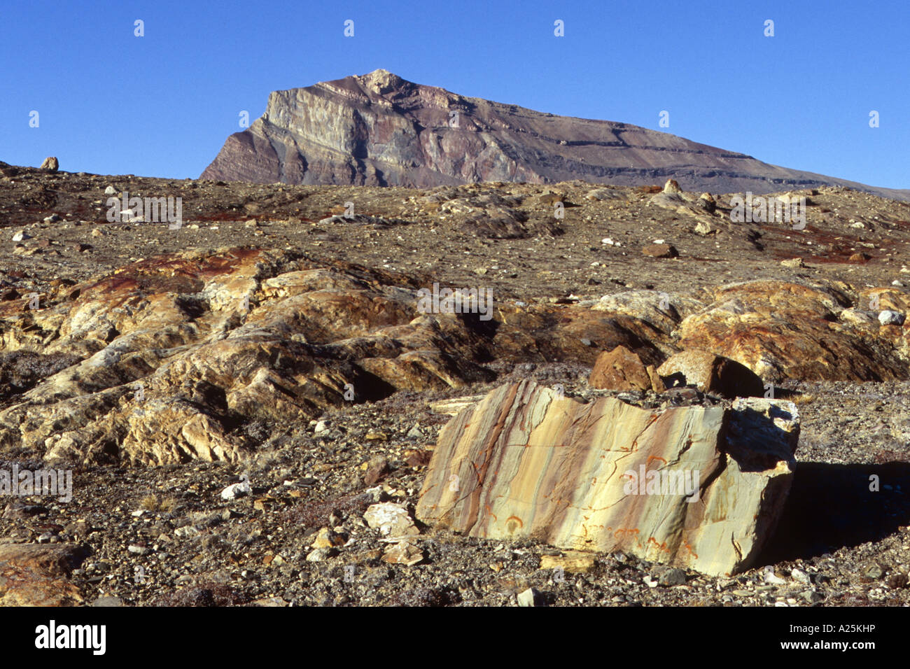 Des paysages de montagne à Kejser Franz Joseph Fjord, le Groenland, l'Est du Groenland, Groenland Nationalpark, Tunu Banque D'Images