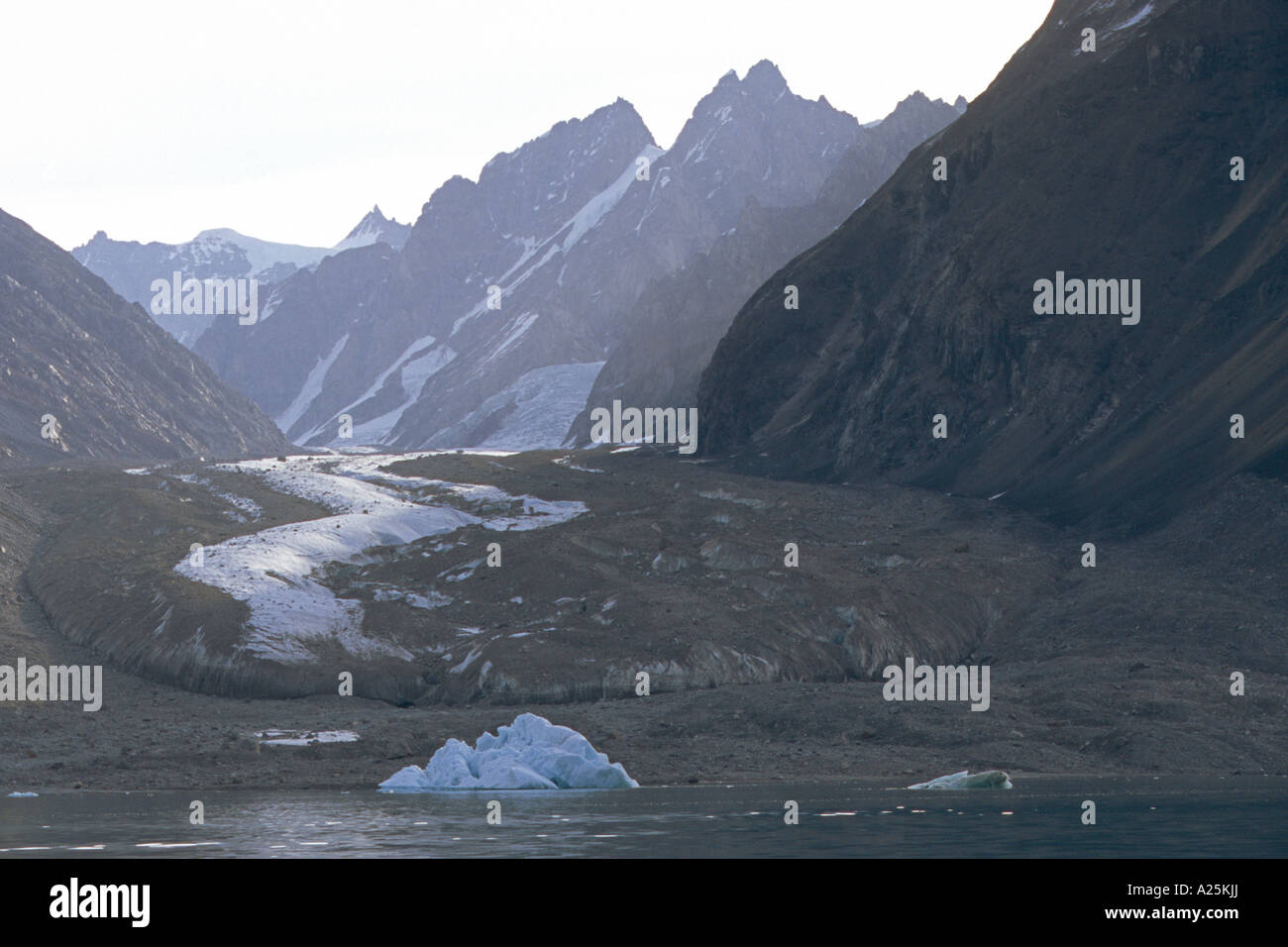 Langue du glacier et de l'abrasion à l'Alpefjord, du Groenland, de l'Est du Groenland, Groenland Nationalpark, Tunu Banque D'Images