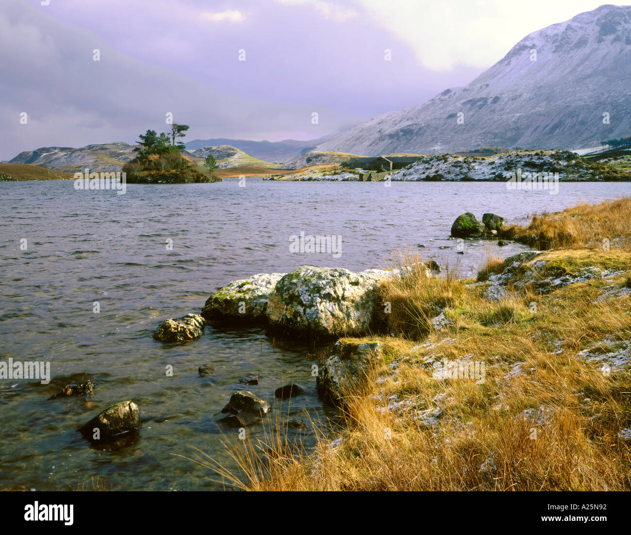 Cregennen Lac Cadir Idris Dogellau Gwynedd au nord du Pays de Galles Banque D'Images