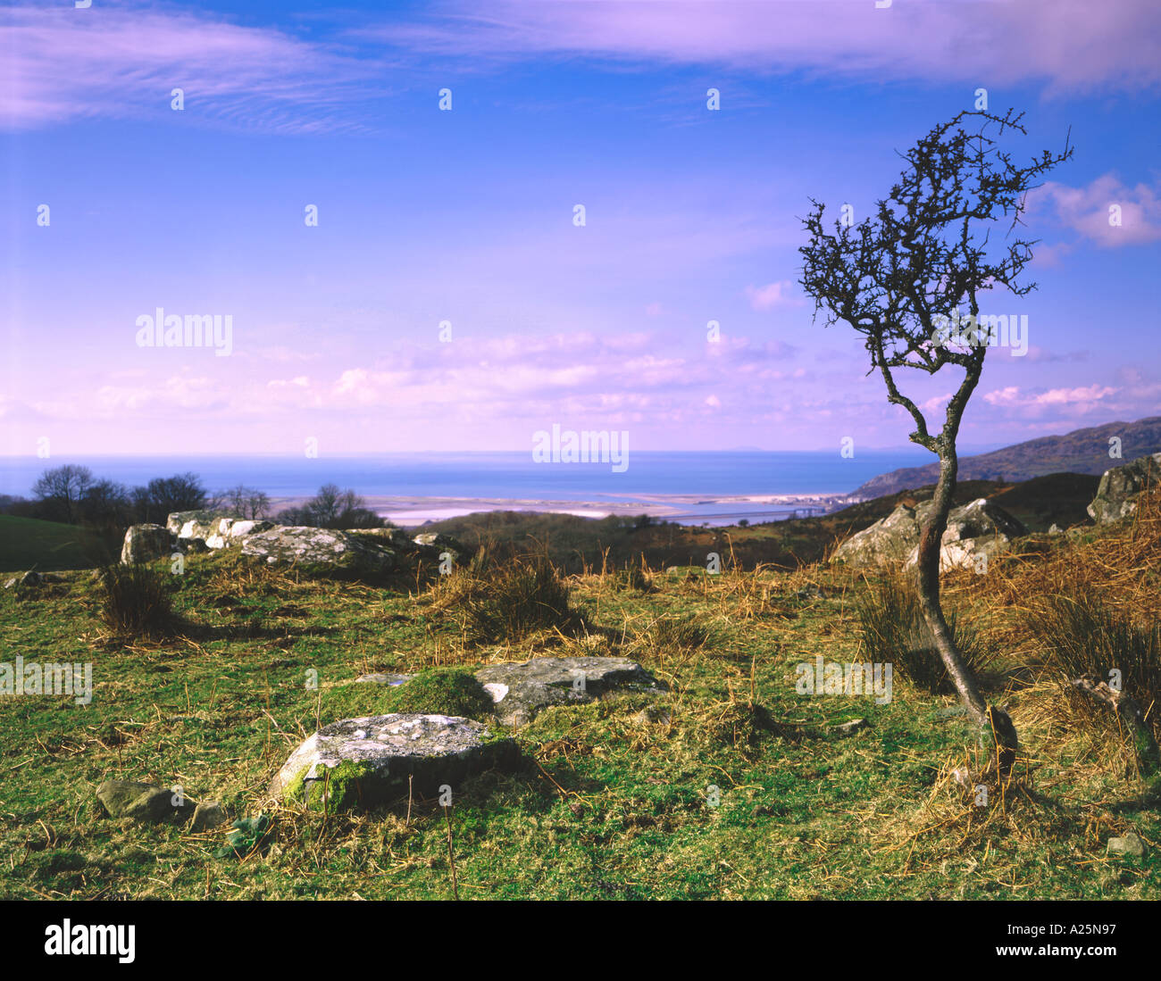 Gefnir vers Barmouth Bay Y Cadir Idris Gwynedd au nord du Pays de Galles Banque D'Images
