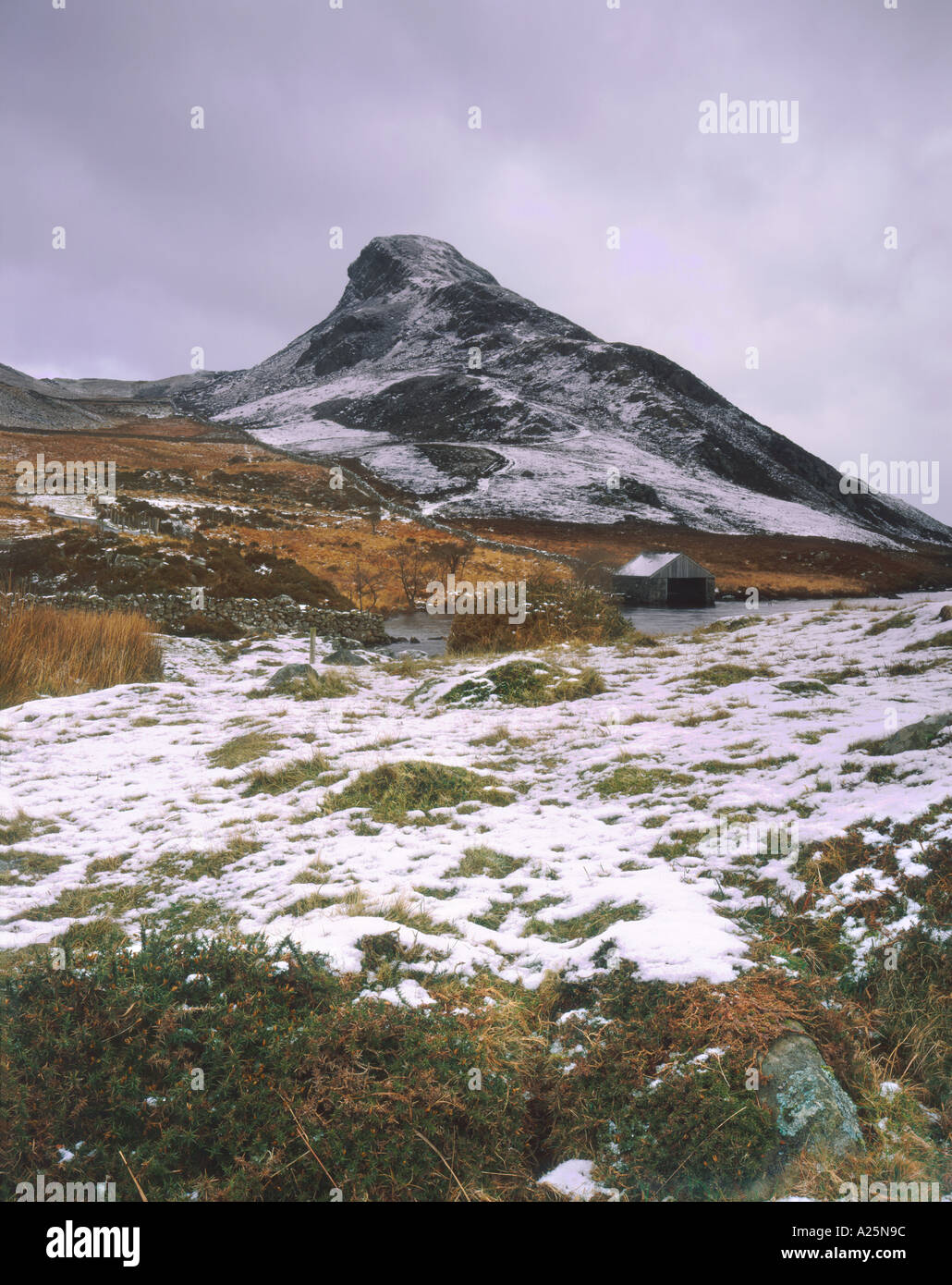 Cregennen Lac Cadir Idris Dogellau Gwynedd au nord du Pays de Galles Banque D'Images