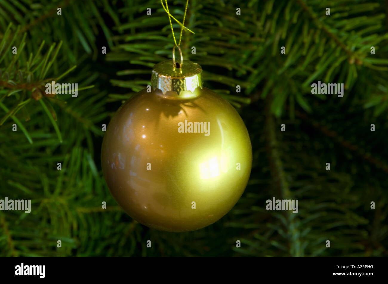 Arbre de Noël avec des décorations de sapin de noël décorations de noël