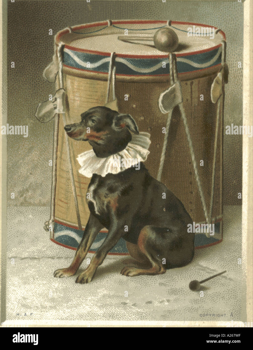 Toby chien en attente dans les ailes vers 1880 Banque D'Images