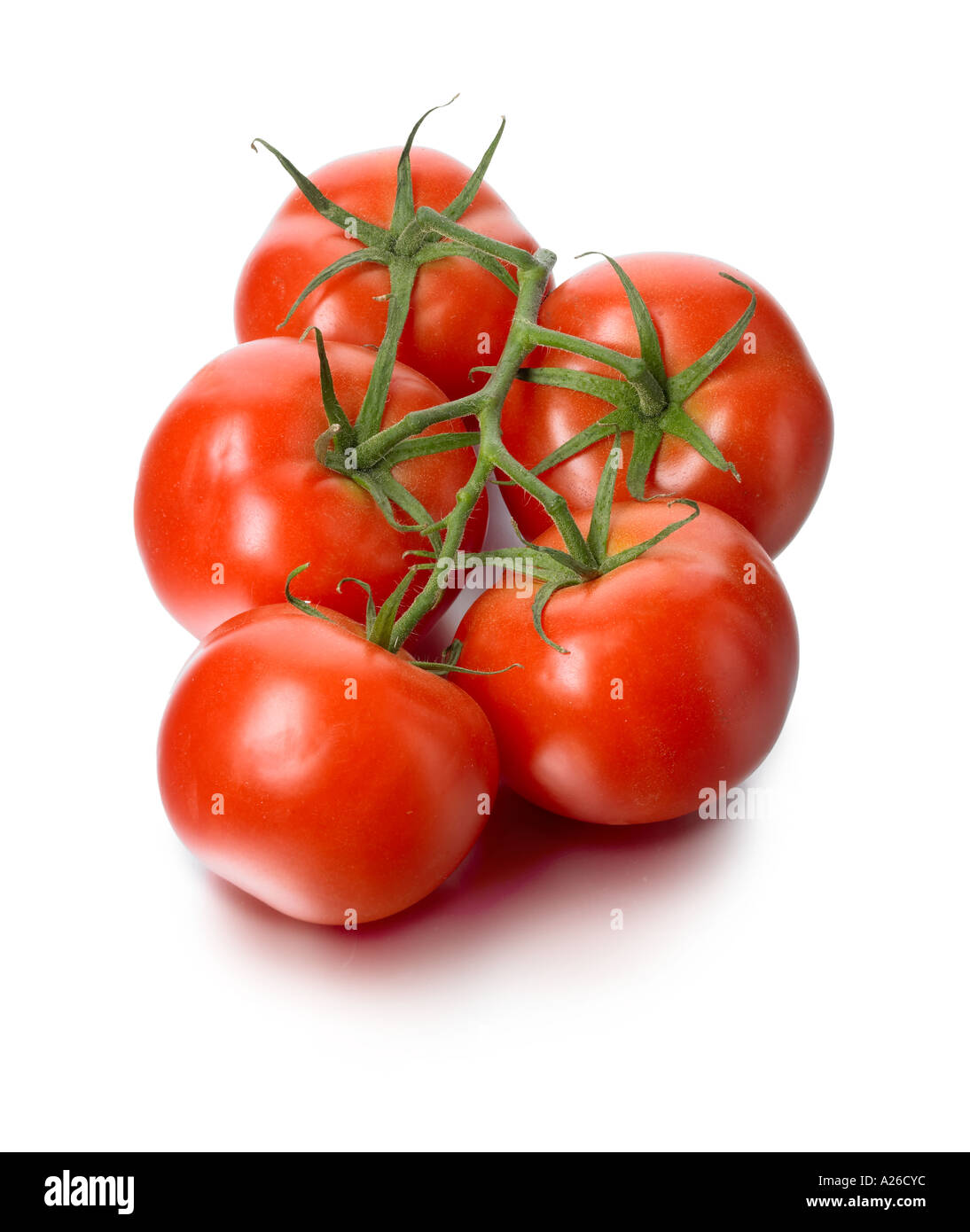 Tomates sur la vigne fraîche mûre rouge coupé blanc fond brillant cinq supermarché bio végétalien italien Banque D'Images