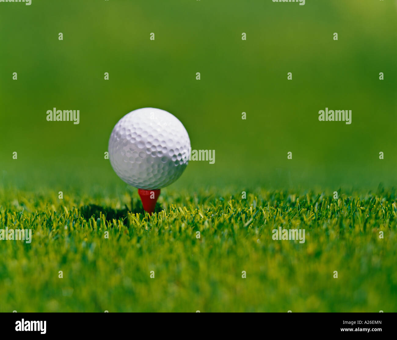 Balle de golf sur tee Banque D'Images