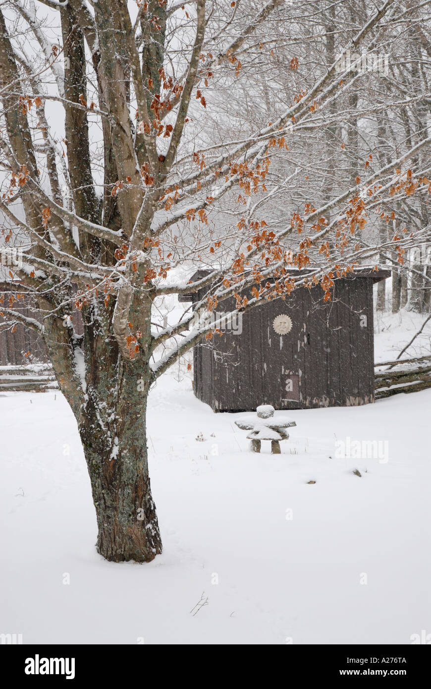 Inukushuk forme l'art inuit dans la neige couverts arrière cour d'une maison de ferme à New Brunswick Canada Banque D'Images
