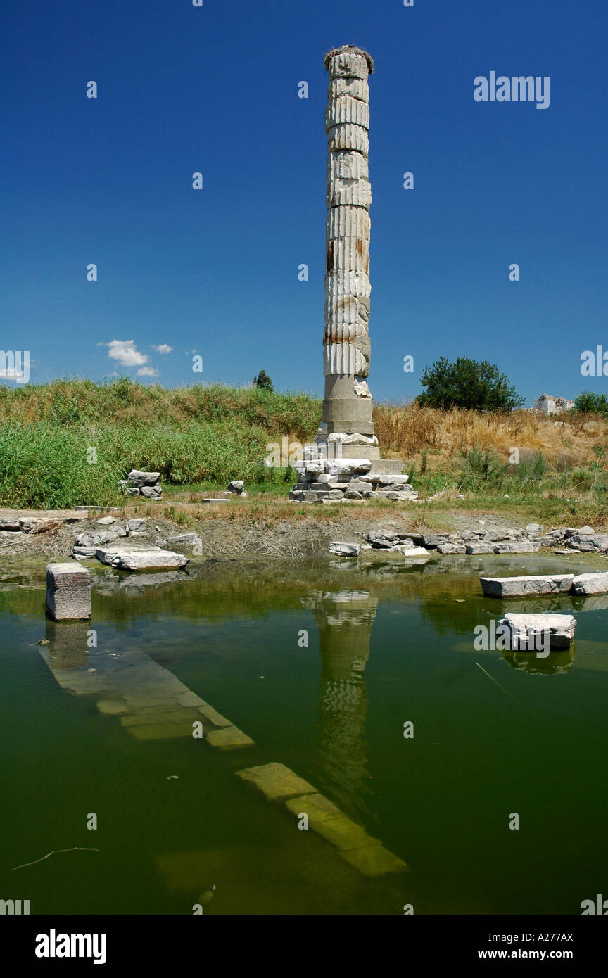 Ruines du temple d'Artemis, la colline Ayasuluk, Byzance et Château de Jone basilique en arrière-plan, Éphèse, Turquie, Asie Banque D'Images