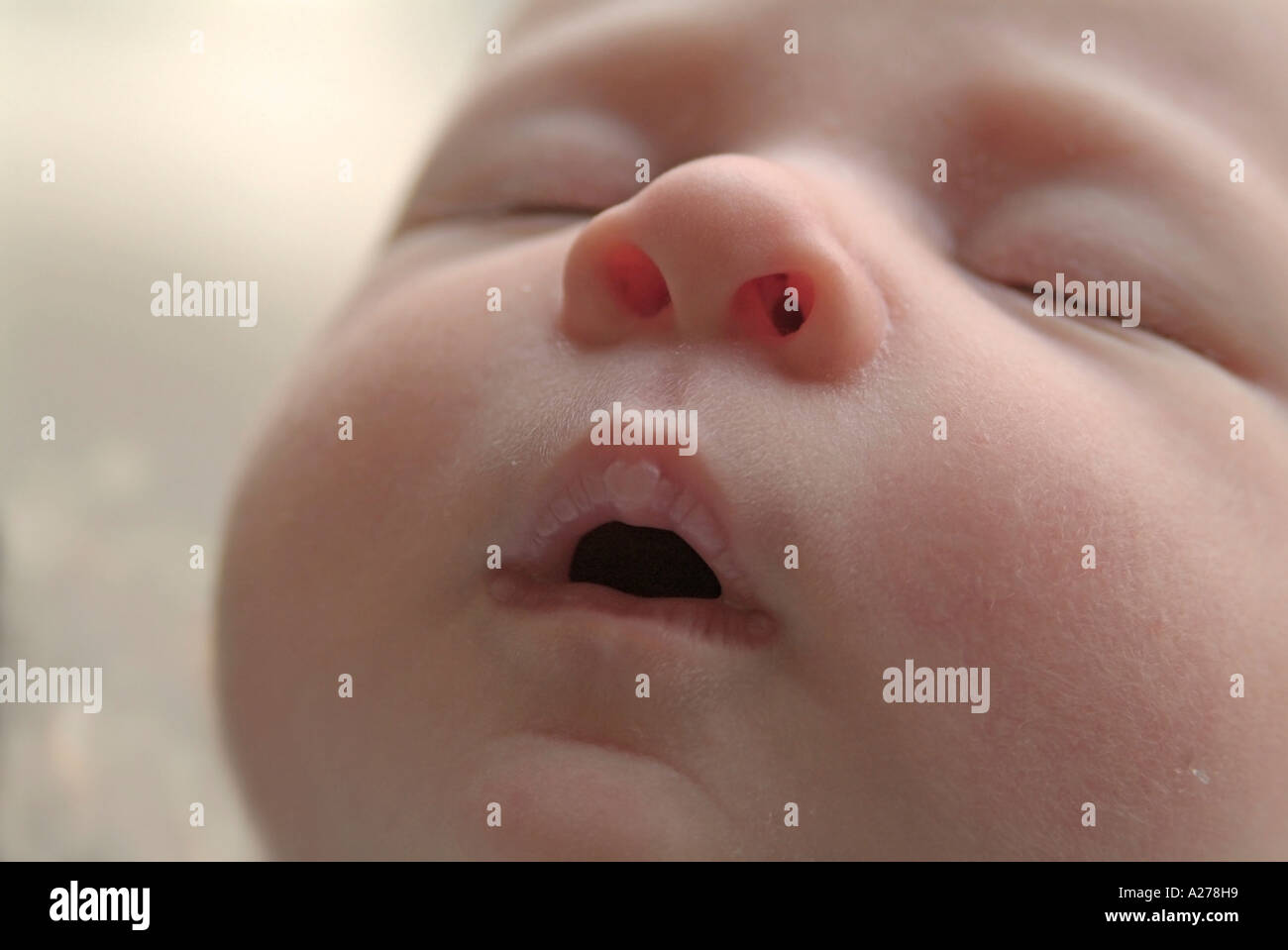 4 Semaines Banque D Image Et Photos Alamy