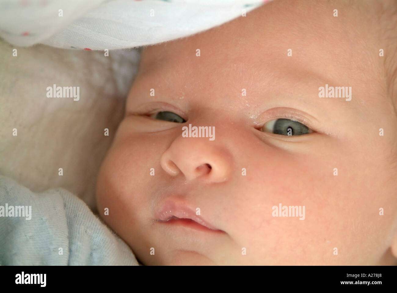 4 Semaines Banque D Image Et Photos Alamy