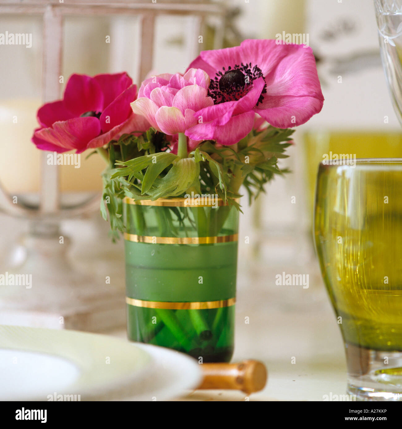 Un coquelicot rouge et rose dans un verre vert Banque D'Images