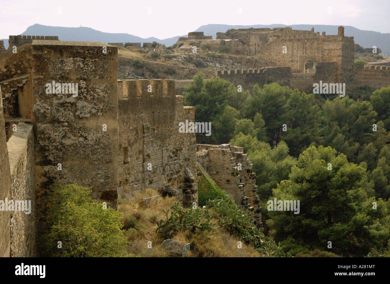 Château de Sagunto et acropole Camp de Morvedre Comunitat Cataluña España Espagne Espagnol Iberia Espagne Europe Banque D'Images
