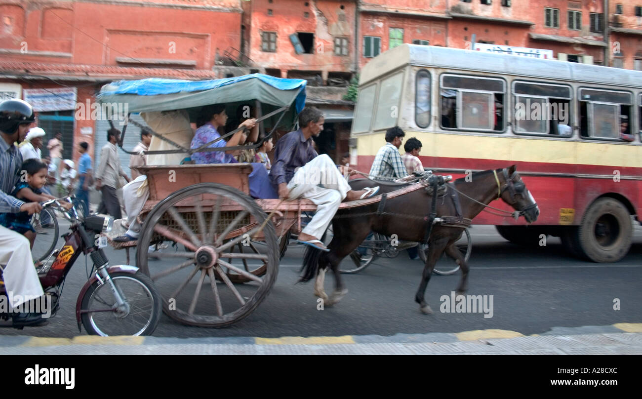 Scène de rue76705 RSC panier cheval transport sur route très fréquentée avec vélo et bus à Jaipur Rajasthan Inde Banque D'Images Scène de rue76705 RSC panier cheval transport sur route très fréquentée avec vélo et bus à Jaipur Rajasthan Inde Banque D'Images