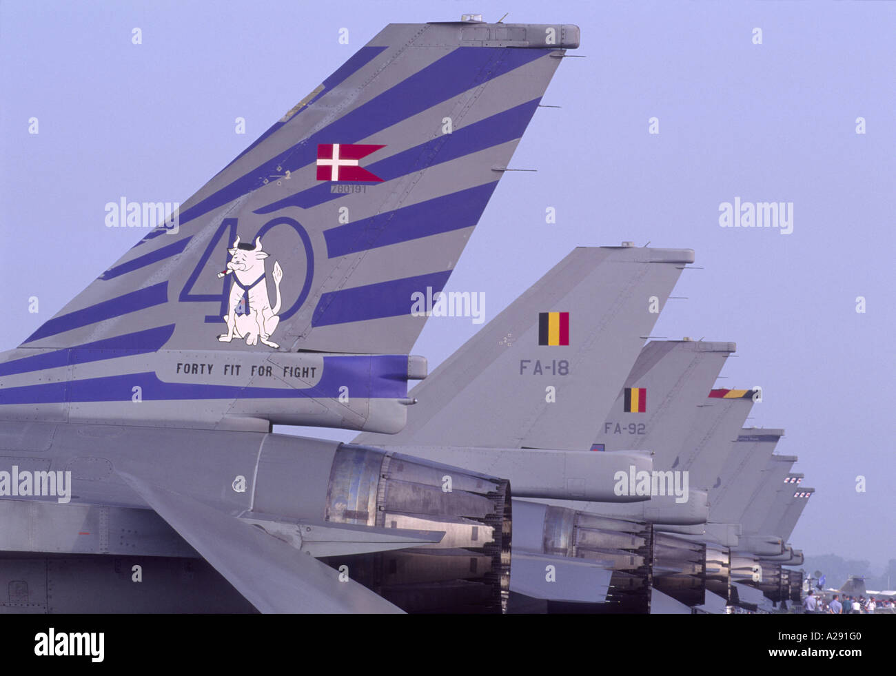 Les ailettes de l'empennage du F-16 Fighting Falcon. 2104-208 GAV Banque D'Images