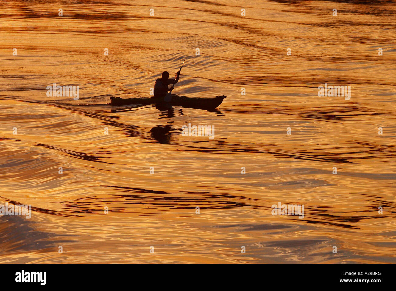 Canoéiste au coucher du soleil Banque D'Images