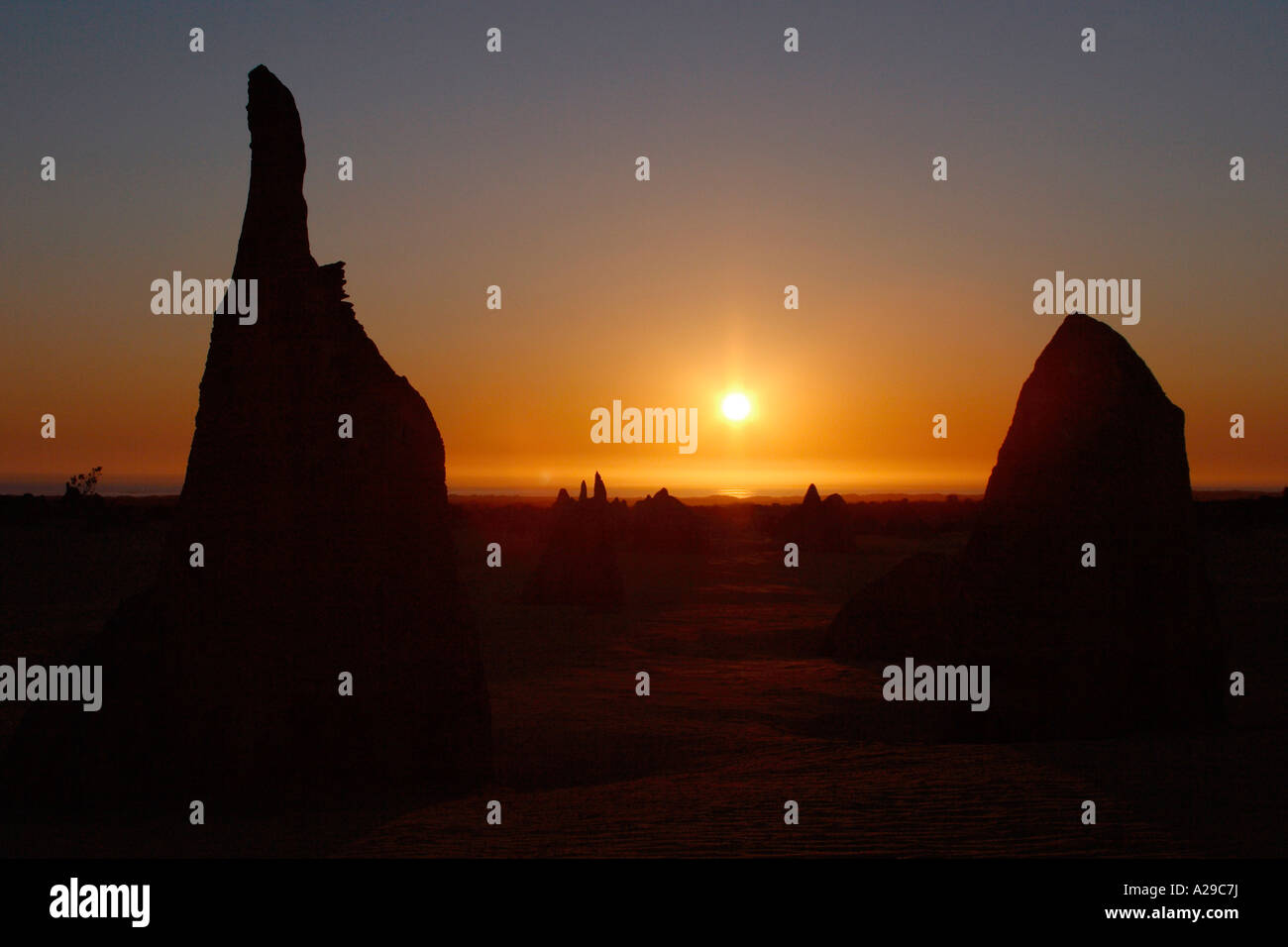 Les pinacles 1 Banque D'Images