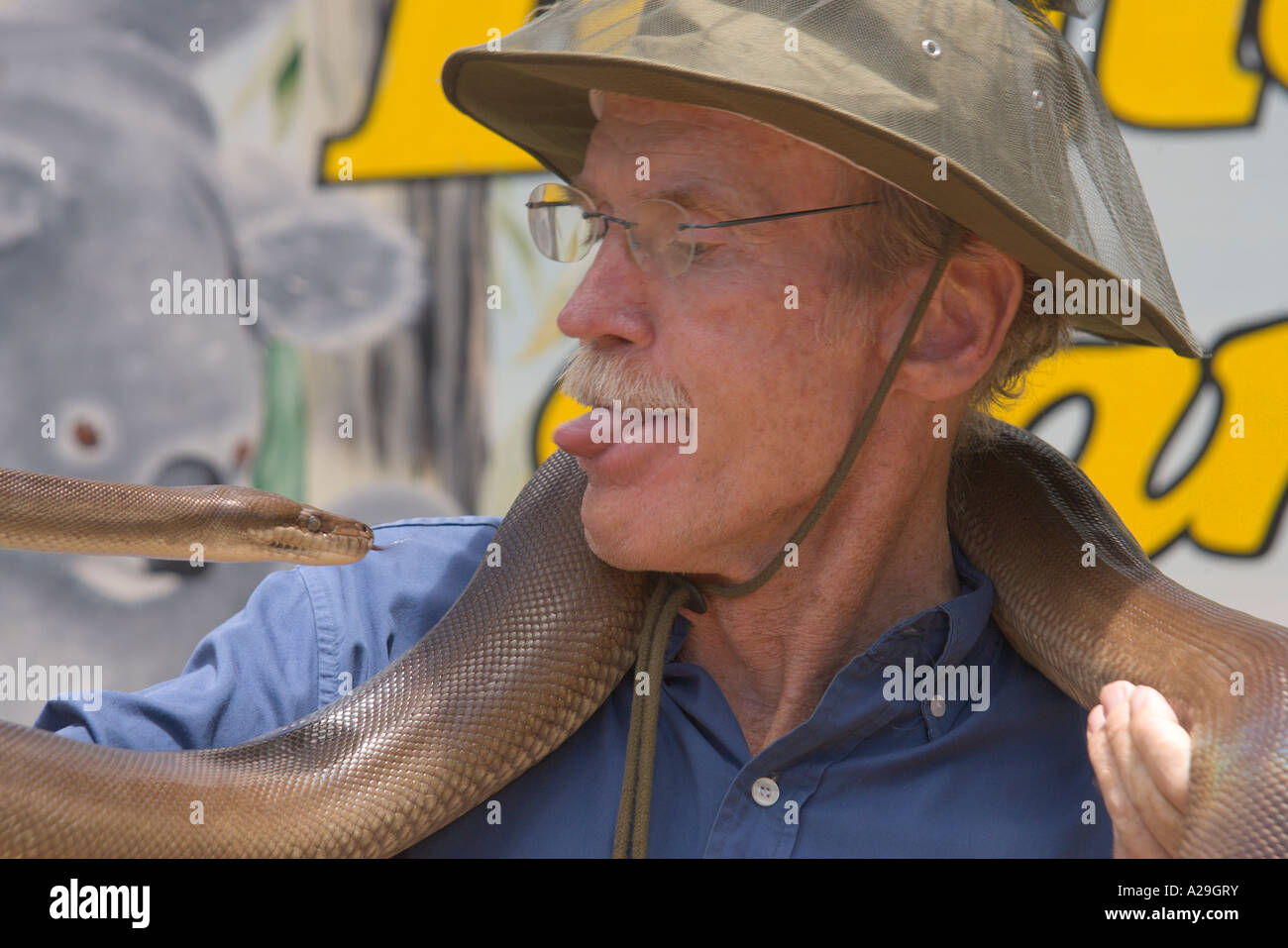 Les touristes détenteurs d'un python Olive poussant langues Banque D'Images