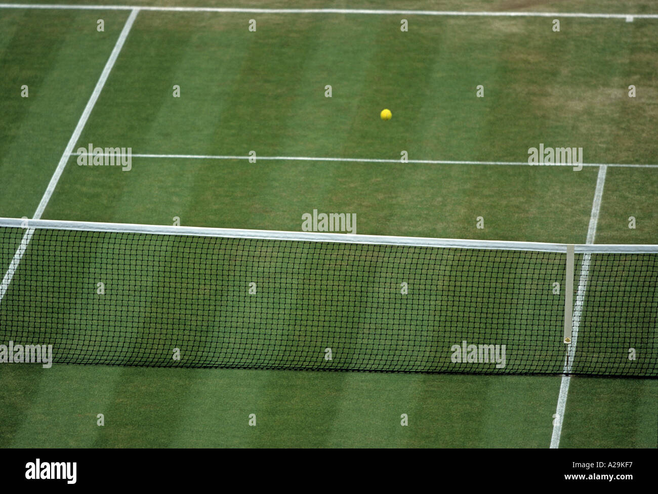 Une balle de tennis jaune vole par-dessus le filet au-dessus d'une cour d'herbe Banque D'Images