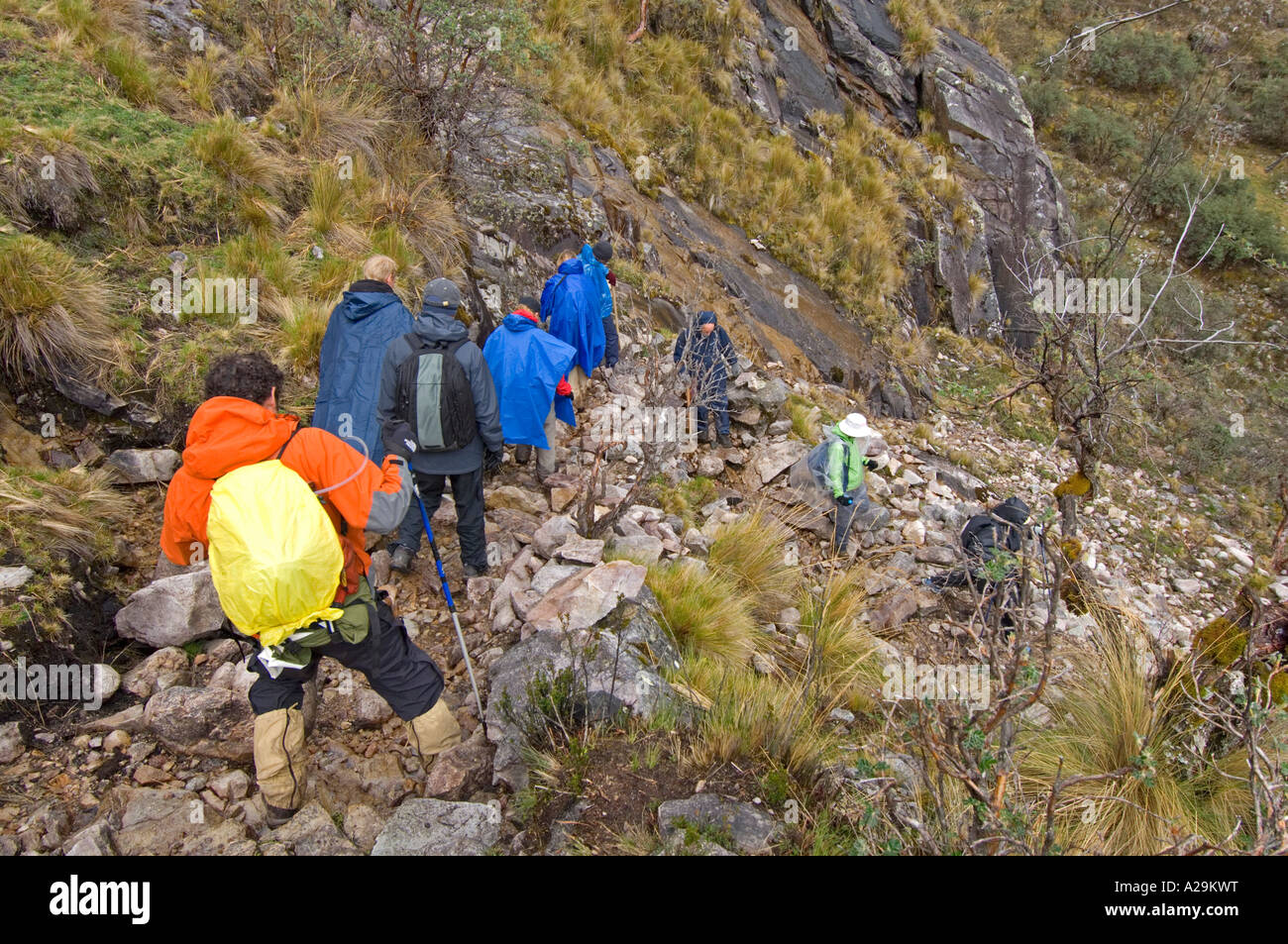 Un groupe de touristes et de guides de trekking à travers le paysage sauvage des Andes sur la "communauté" de l'Inca. Banque D'Images