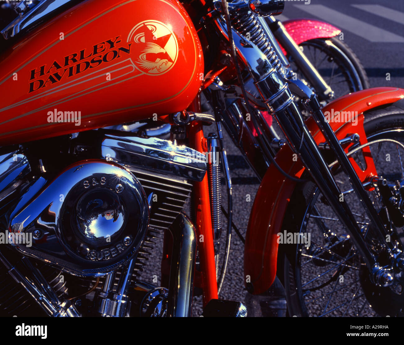 Harley davidson girl Banque de photographies et d’images à haute ...
