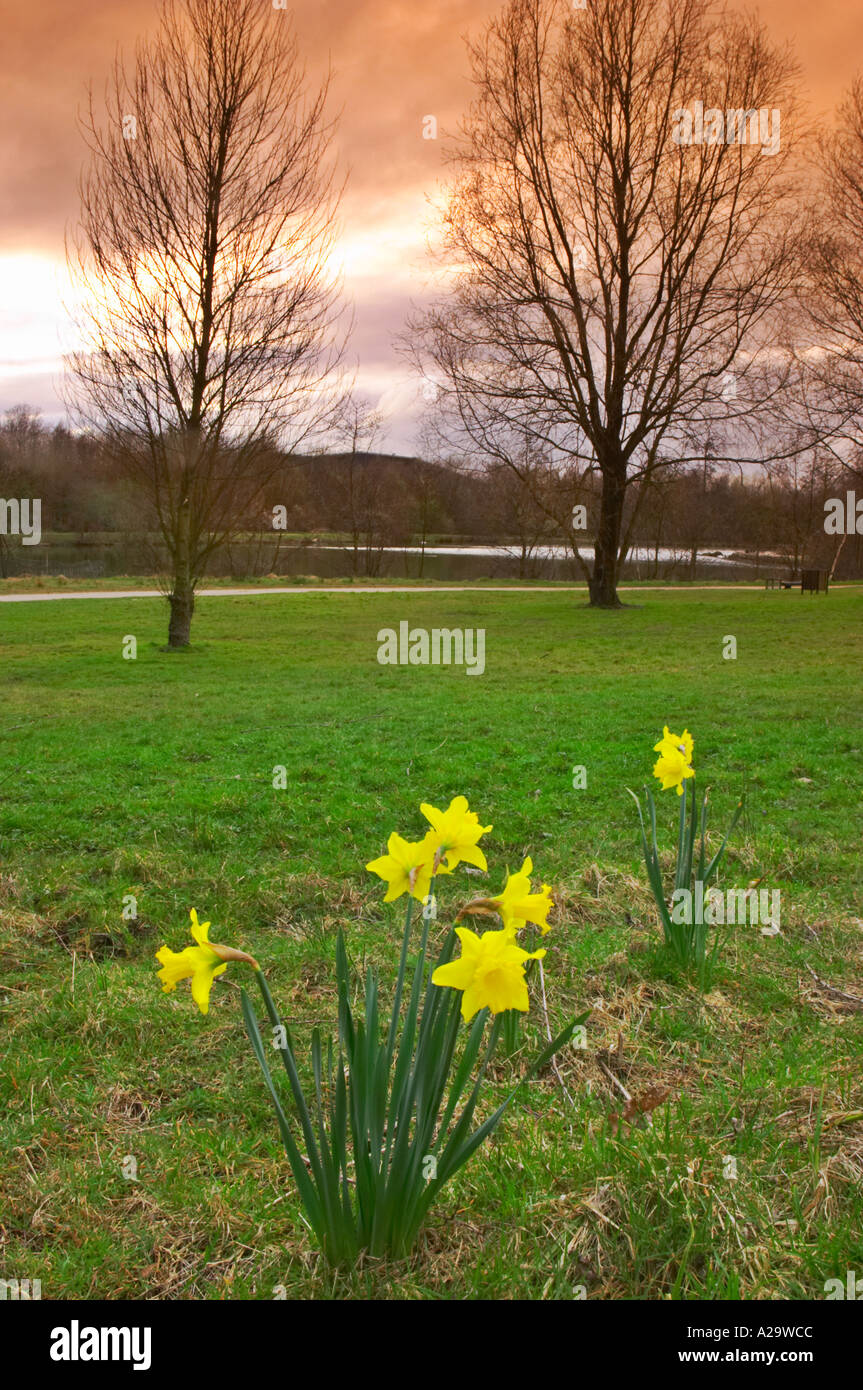Trois Sœurs Recreation Area est de Ashton dans Makerfield Wigan précédemment le Hall Colliery Garswood Banque D'Images