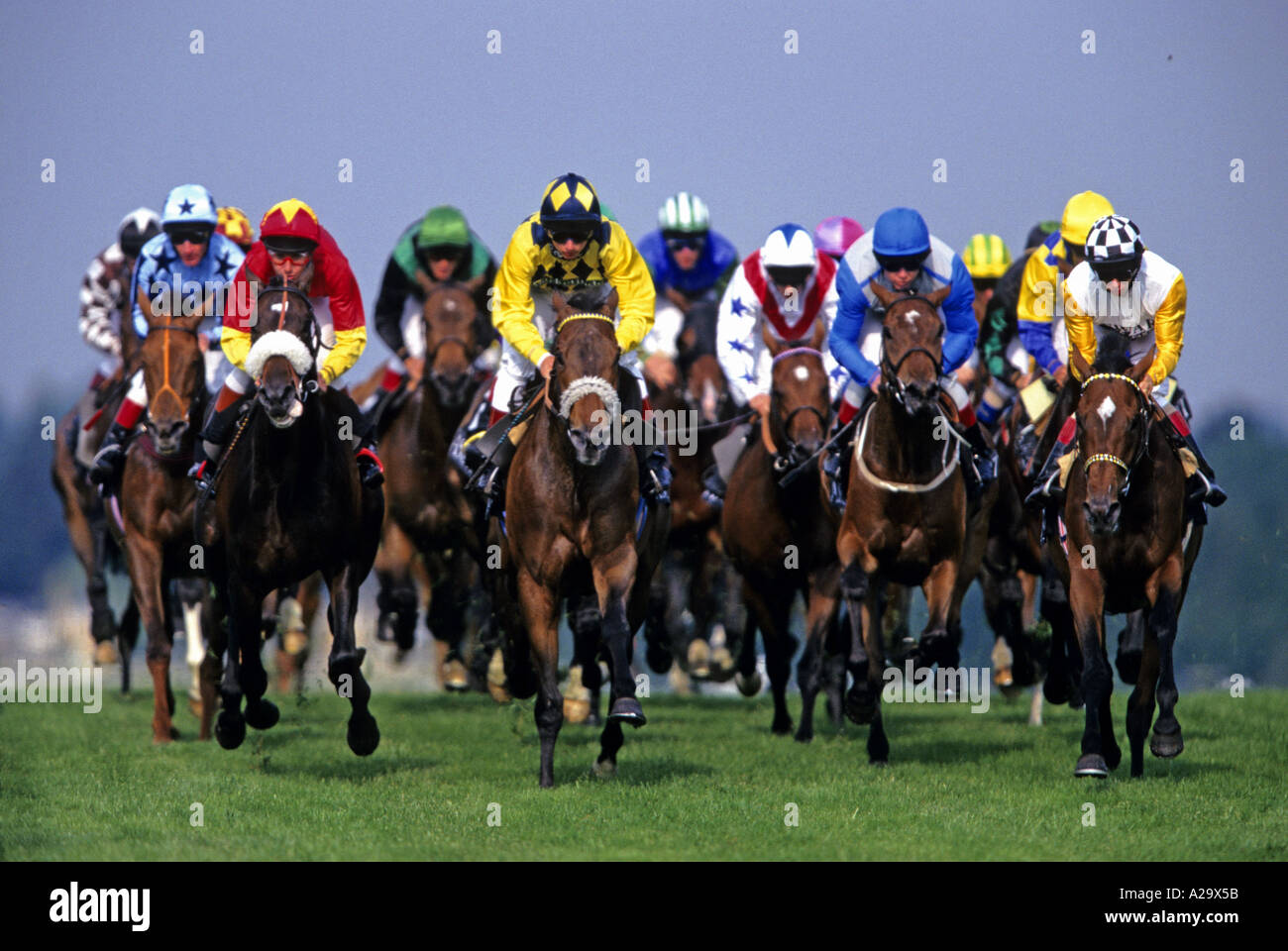 Les chevaux et les jockeys dans les courses de piquets d'Ascot pendant la réunion au Royal Ascot Banque D'Images