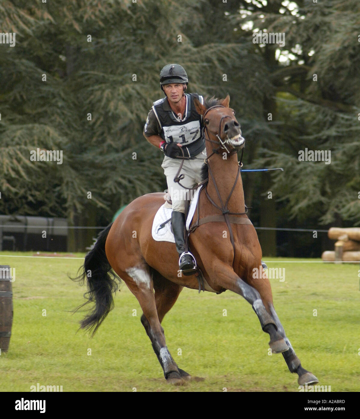 Blenheim Int'l Horse Trials 2004 Banque D'Images