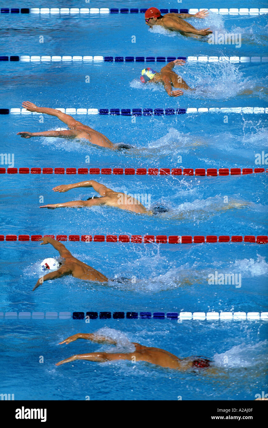 Vue aérienne de six nageurs en compétition dans une course papillon hommes Banque D'Images
