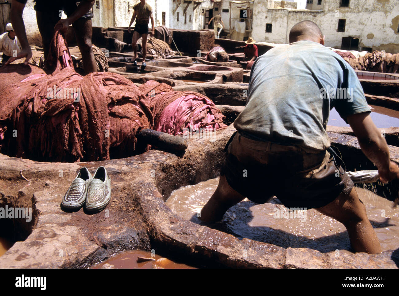 Un homme travaillant dans le bassin de la FES Tanneries, Maroc Banque D'Images