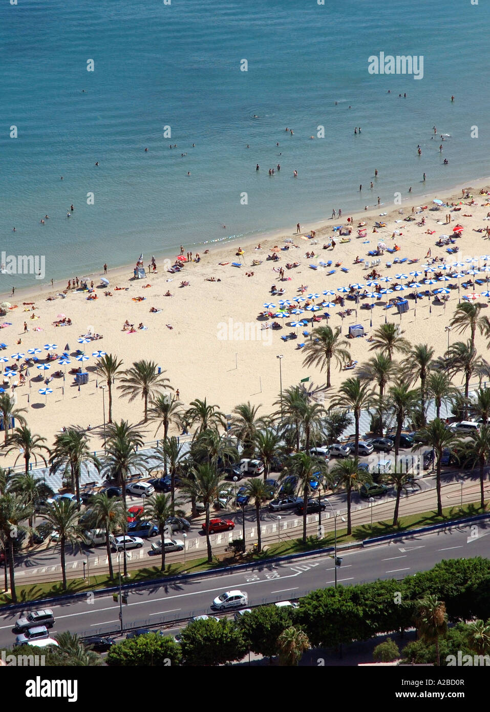 Front de Mer Alicante Alacant Comunitat Valencia Communauté Valencienne Costa Blanca Espagne péninsule ibérique Hispania España Europe Banque D'Images