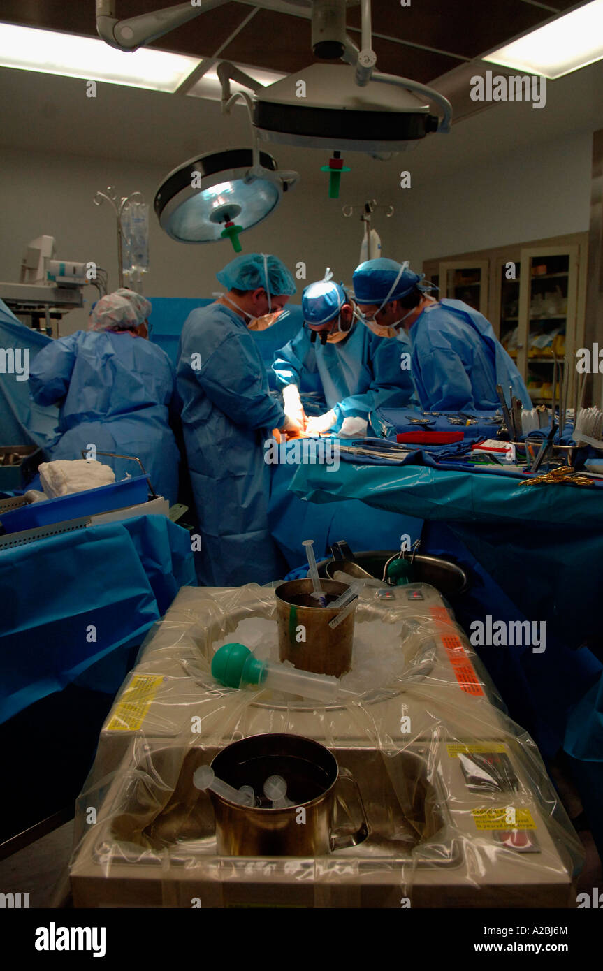 Les chirurgiens et le personnel de soutien dans le théâtre d'exploitation au cours d'une transplantation rénale Banque D'Images
